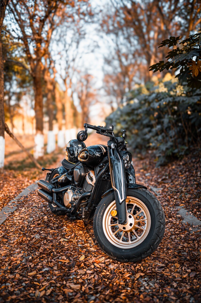 Benda Napoleon 500 Bobber, Phân Phối Chính Hãng, Giá Rẻ Tại Cà Mau