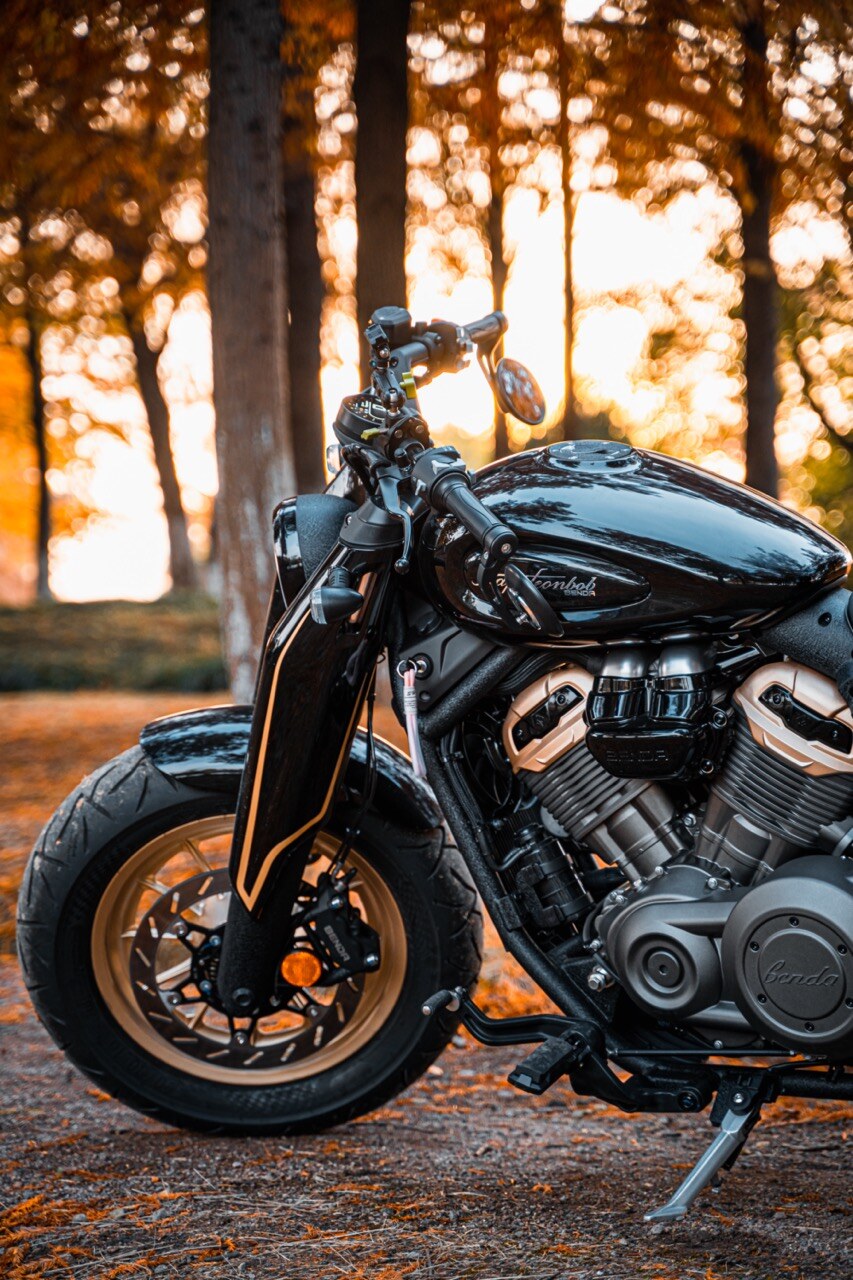 Benda Napoleon 500 Bobber, Phân Phối Chính Hãng, Giá Rẻ Tại Cà Mau