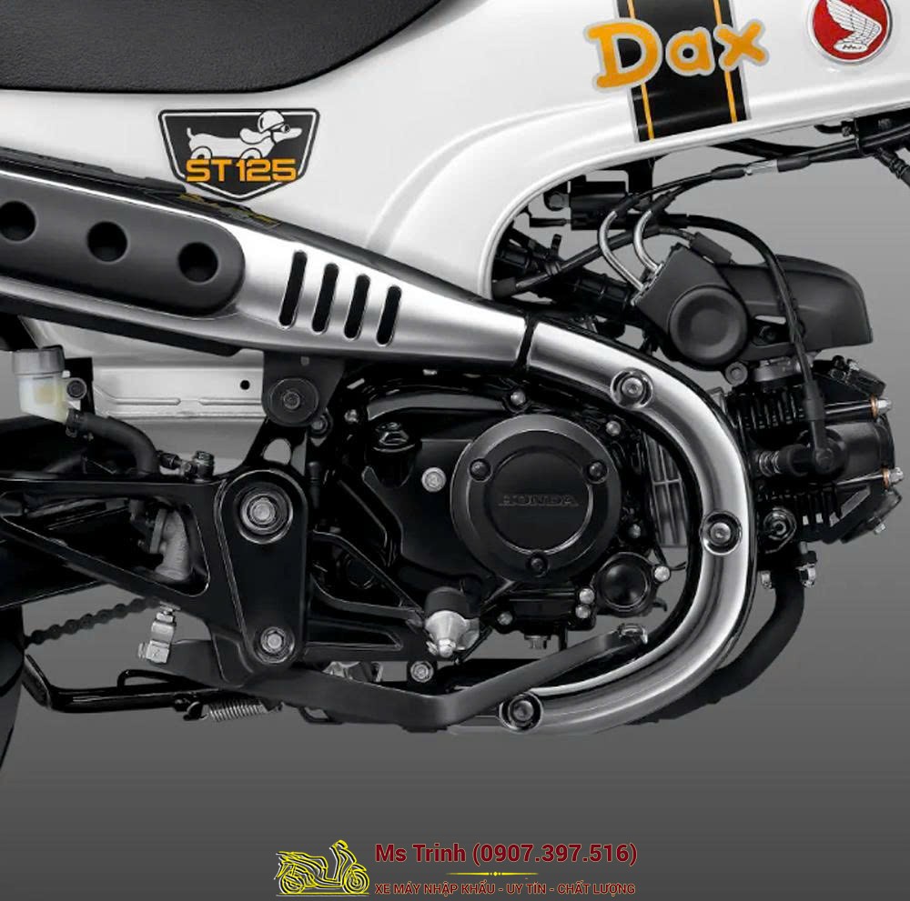 Honda Dax ST125 2026 tại Cà Mau - Minibike huyền thoại khung T-Bone đầy cá tính