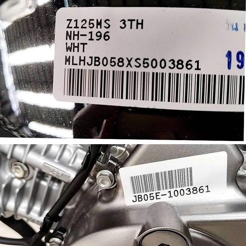 Honda Monkey Chrome Edition 2025 tại Cà Mau