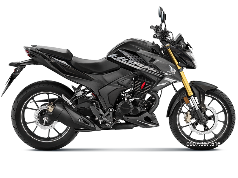 Honda Hornet 2.0 tại Cà Mau,