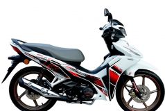 Honda Dash 125 2026 HRC 2026 tại Cà Mau - Xe số thể thao mạnh, mượt, giá hợp lý